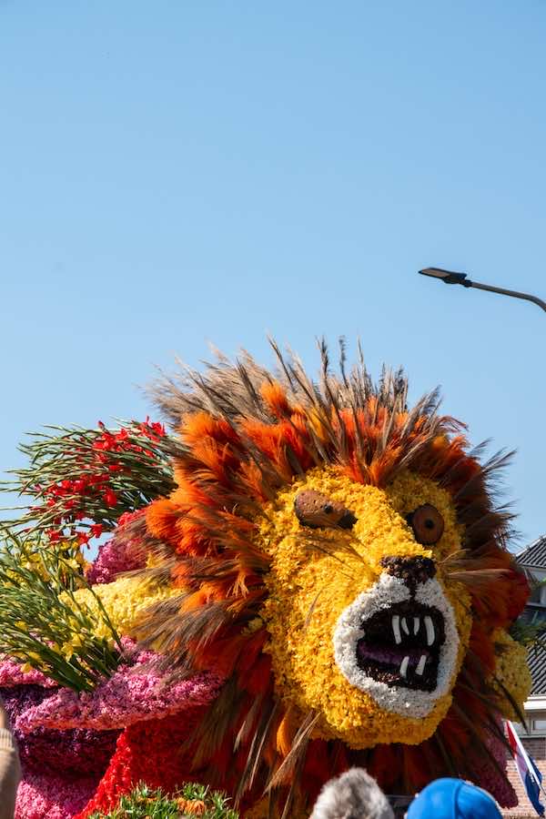 Het Bloemencorso Bollenstreek 2025