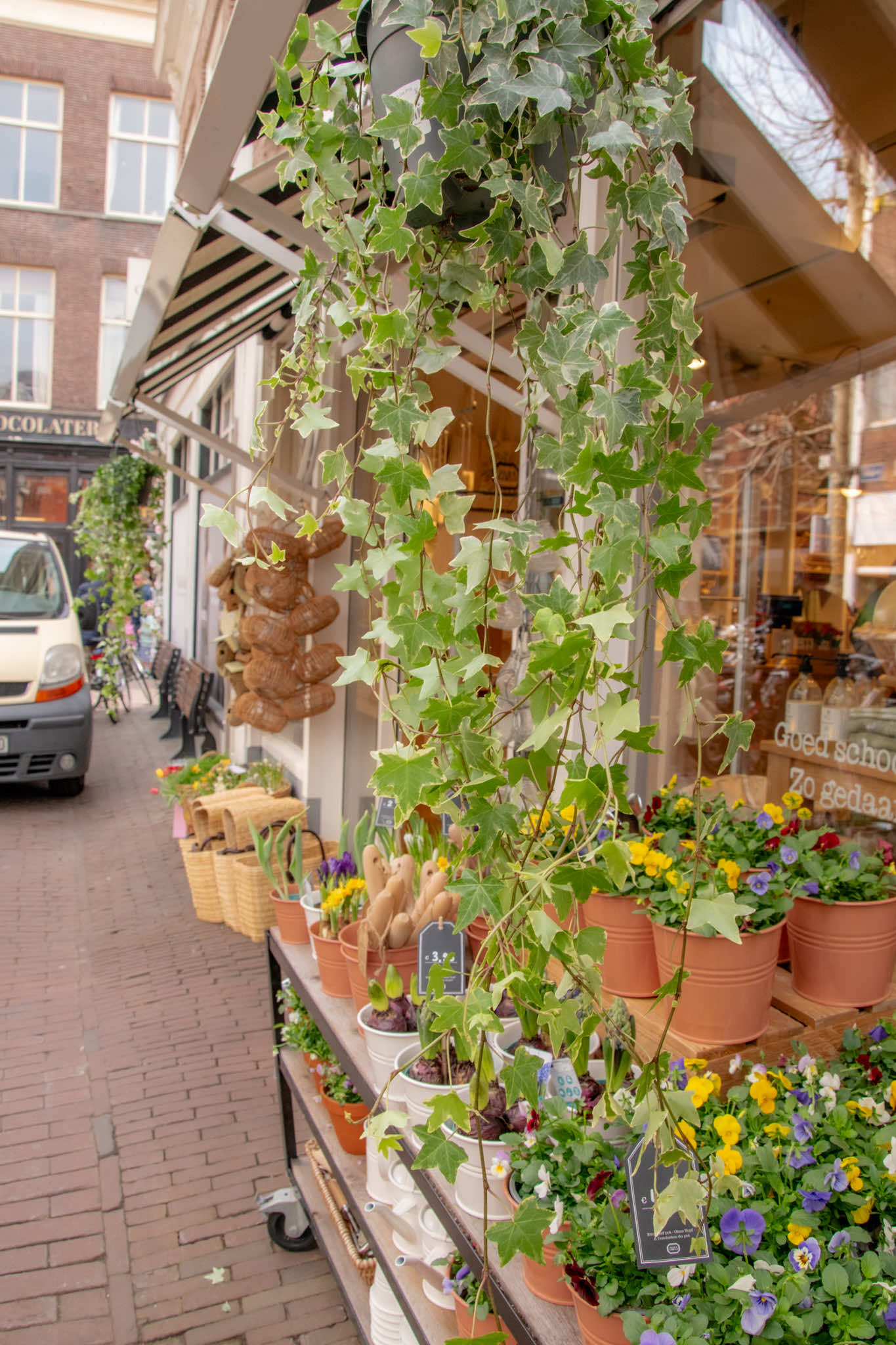 Haarlem Center