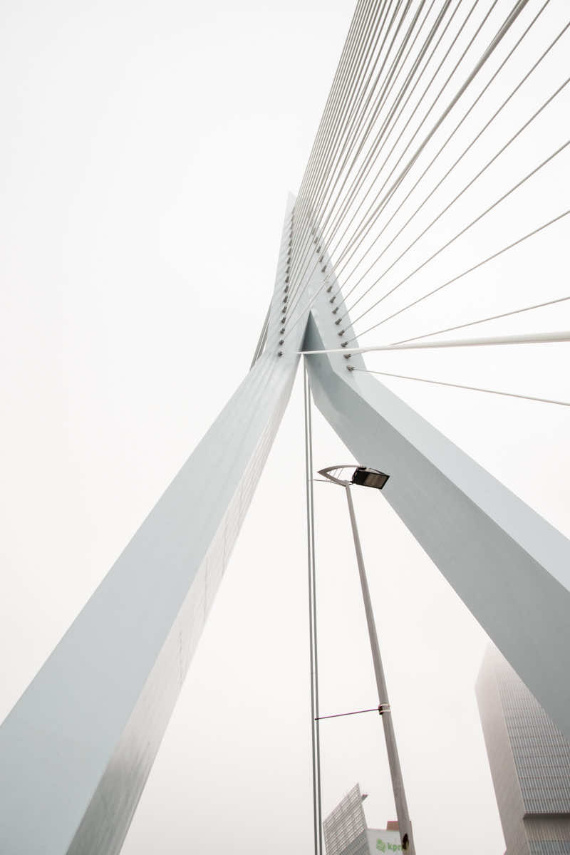 Rotterdam